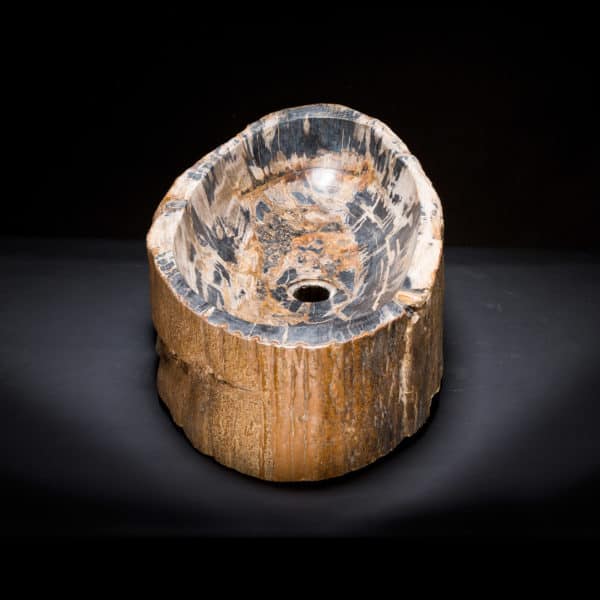 Petrified Wood Fossil Sink-140