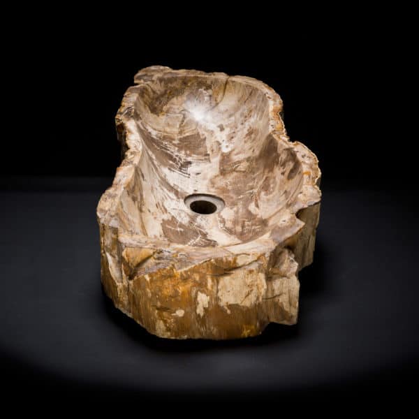 Petrified Wood Fossil Sink-316