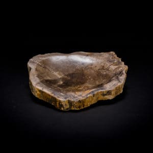 petrified fossil wood soap dish