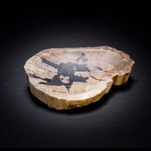petrified fossil wood stone soap dish