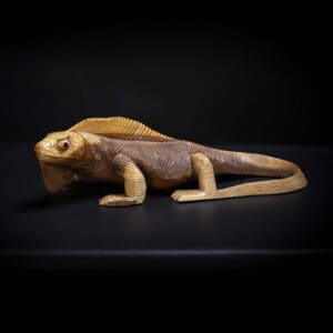 Hand Carved Iguana Sculpture