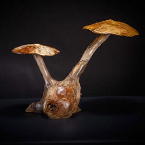 Double Mushroom Sculpture