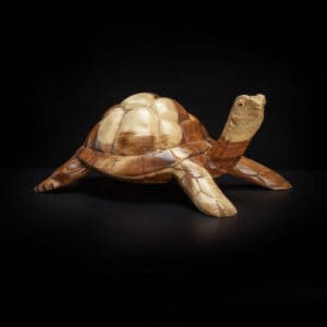 Teak Root Turtle Tortoise