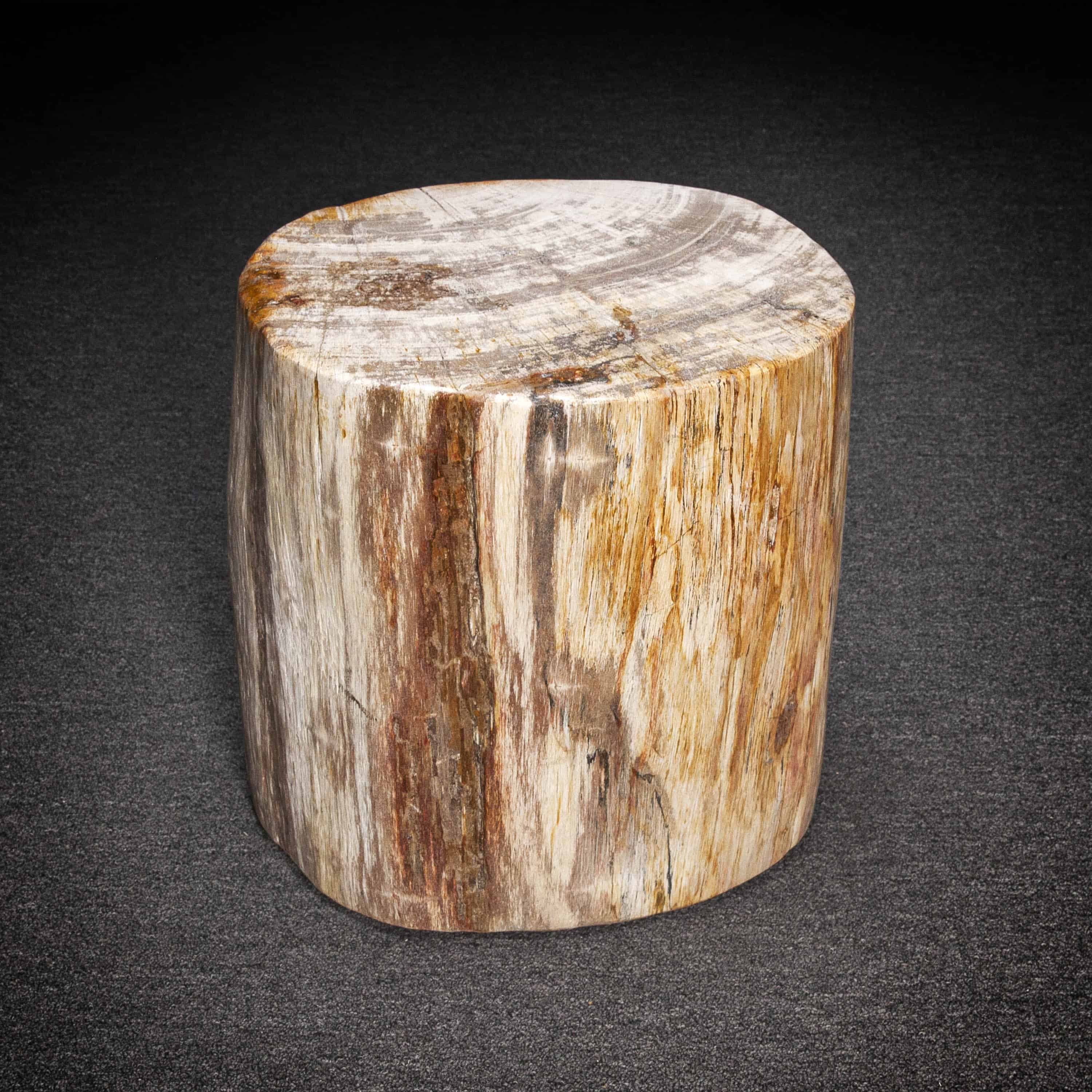 Petrified Wood Trunk Side Table Or Stool